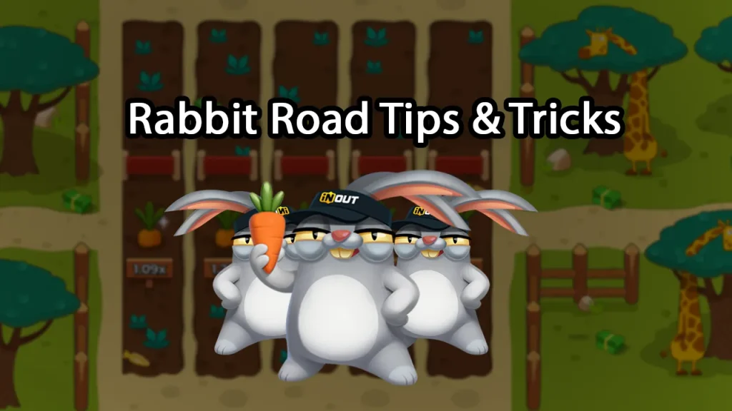 Rabbit Road tips
